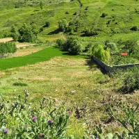یک قطعه زمین
