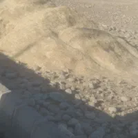 کاه دیم