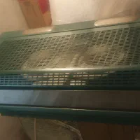 هود