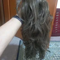 کلاه گیس