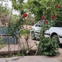 پارس دوگانه۹۹