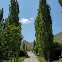 زمین فروشی بلده
