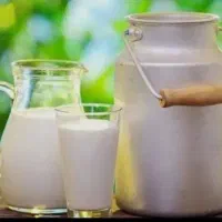شیر تازه گاو