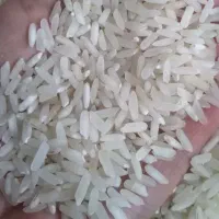 فروش برنج  تعاونی