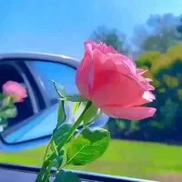 کار و درآمد برای بانوان خانه دار