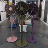 پنکه لایف لند