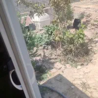 کارگر افغان