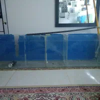 حراج آکواریوم بزرگ