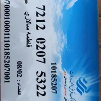 پیدا شده