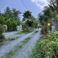 1000متری-صنوبر