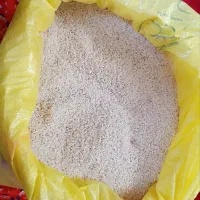 برنج نیم‌دانه هاشمی