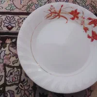 ظرف|ظروف سرو و پذیرایی|یزد, |دیوار