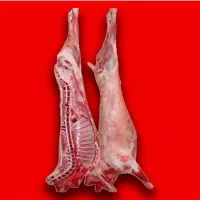 تامین و فروش گوشت گوساله و گوسفندی