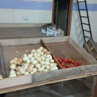 فروش میزمیوه فروشی