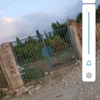 فروش-باغ-مرکبات-وانار