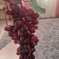 انگورمصنوعی