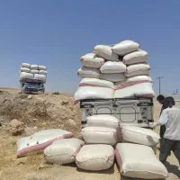 کاه 12500