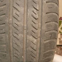یک حلقه لاستیک سمندی بارز