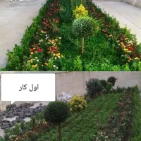 امور باغبانی و سمپاشی هرس کاری درختان