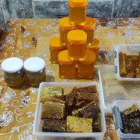 عسل ۱۰۰ درصد طبیعی