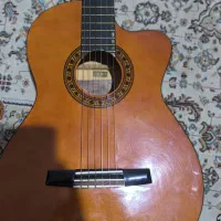 گیتار اصل والنسیا پیکاب دار