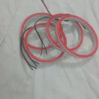 نئون سمند