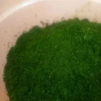 سبزی خورشتی آماده