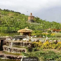 تور گروهی