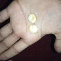 مهری ماره اصل