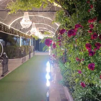 باغسرای وباغ تالار رویایی پاژ