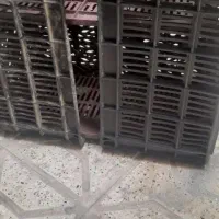 سبد گوجه
