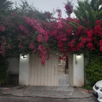 استخردار نزدیک دریا