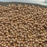 نخود اعلا کرمانشاه