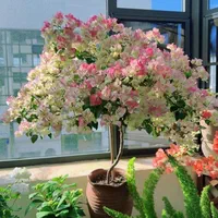 سیب سبز گلابی استوایی دراگون جکفروت