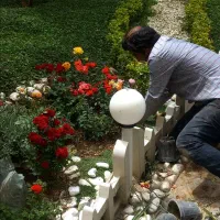 سمپاشی و باغبانی تضمینی تهران