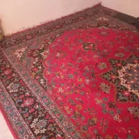 موکت|موکت|خرم‌آباد, |دیوار