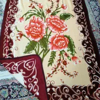 تک نفره درحدنو خیلی تمیز ومخملی