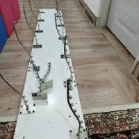 رگال