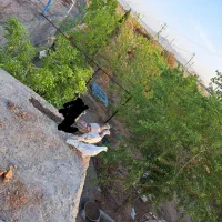 کفتر تهرانی معاوضه