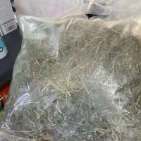 فروش یونجه خرگوش