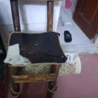 صندلی جنگلی با پوست کاملا سالم یک عدد