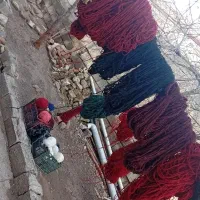 نخ فرش هریس تاجری