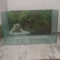 اکواریوم