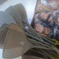 مگس کش هم رسید