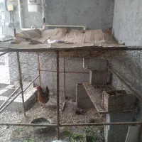 فروش قفس مرغ شبانکاره