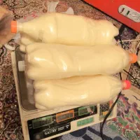 روغن و کشک حیوانی
