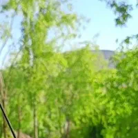 زمین بفروش میرسد فروش فوری