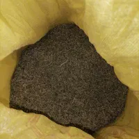 آویشن پهن شیرازی