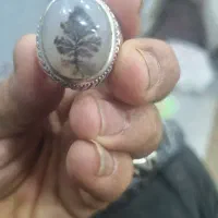 انگشتر نقره شجره تک درخت بینظیر