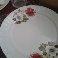 ظروف چینی